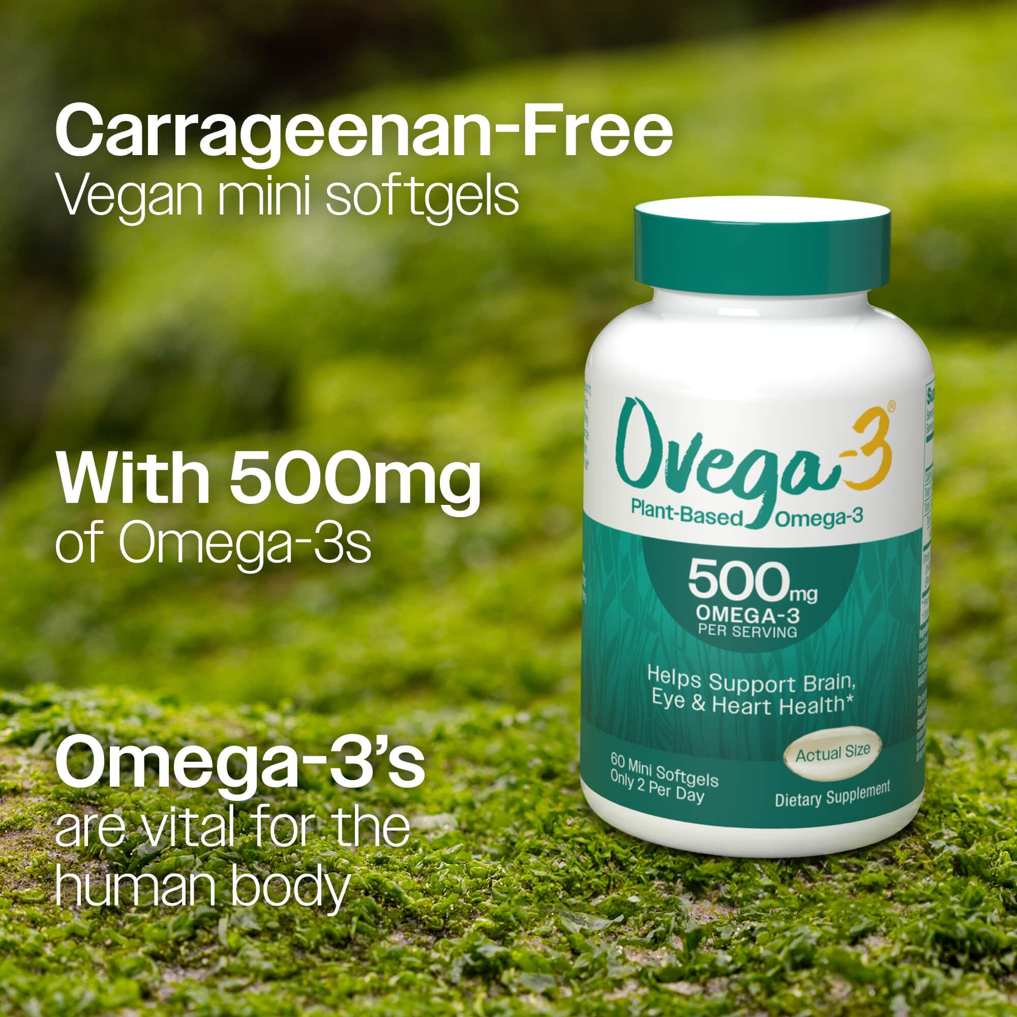 Ovega-3® 500mg Plant-Based Omega-3 – Ovega®